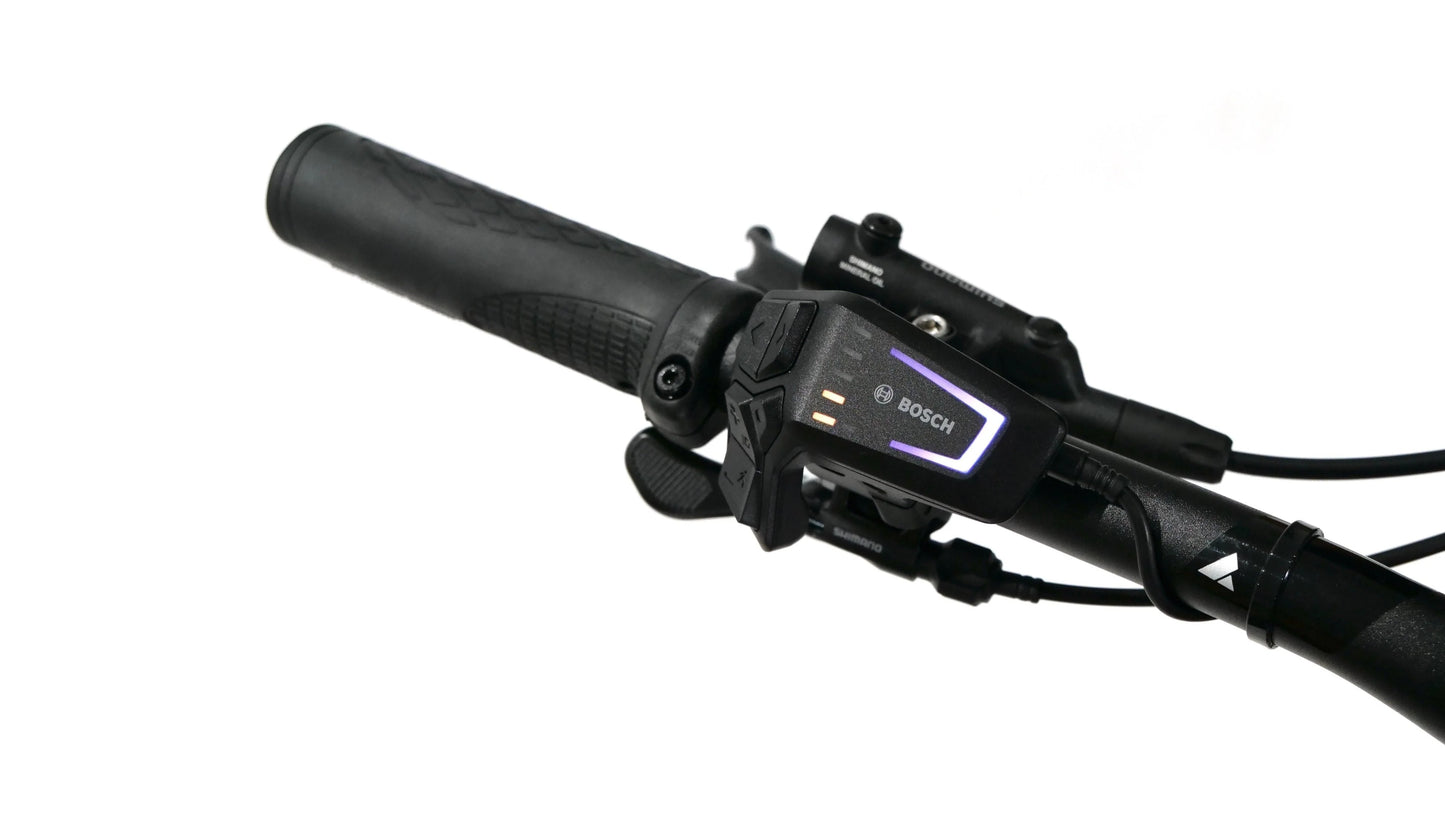 BULLS COPPERHEAD EVO AM 3 750 eMountain Bike