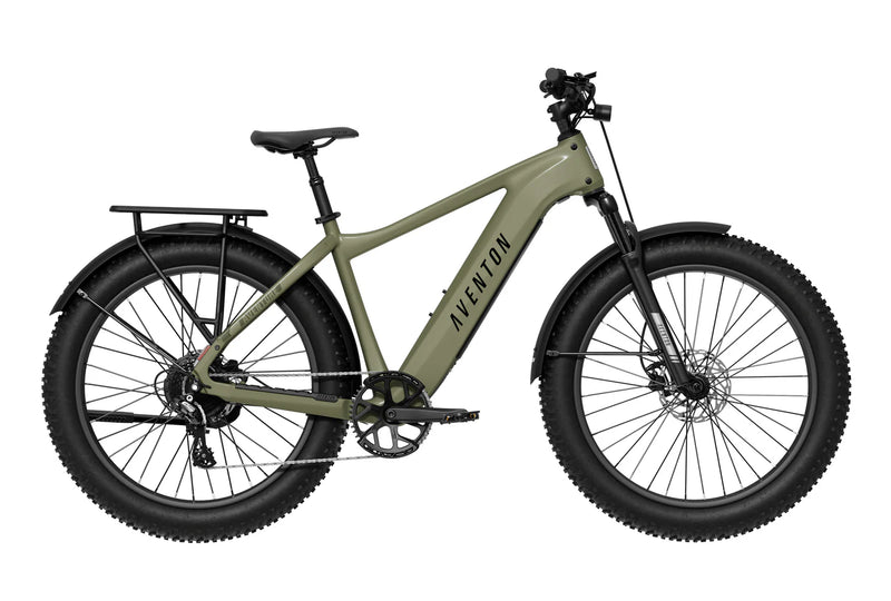 Fat Tire Electric Bike Longmont