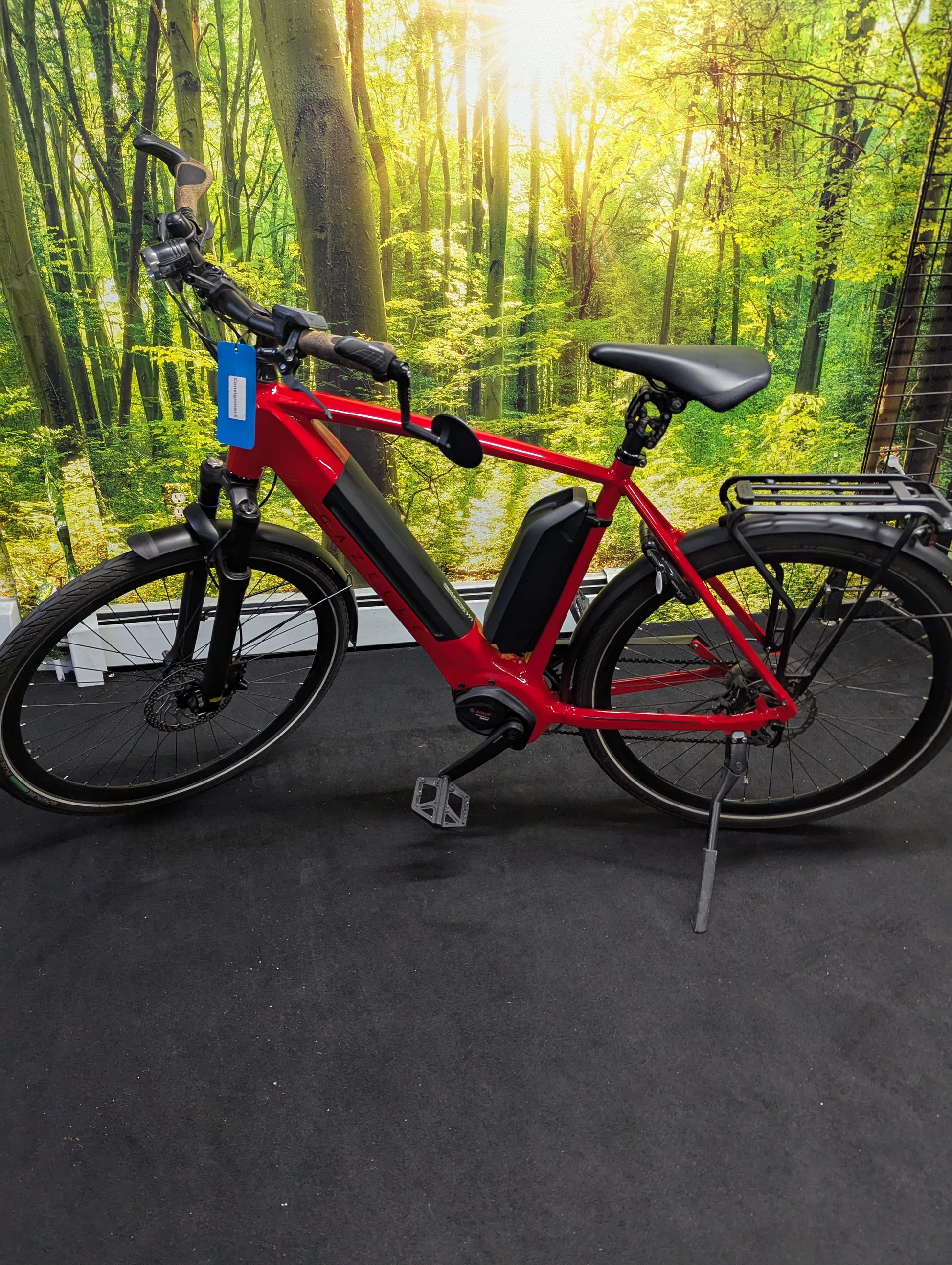 elektrofahrrad hybrid Large Frame Hybrid Ebike Longmont