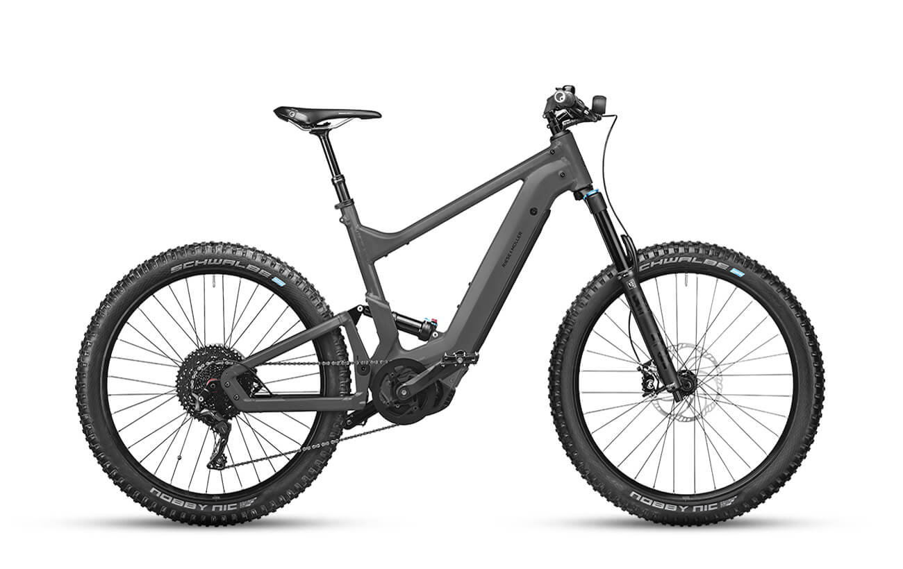 Riese & Müller - Delite Mountain Touring / Grey / 47cm / 625WH / Kiox / Abus Lock